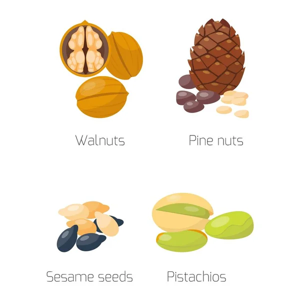 Different nuts vector set. — Stock Vector