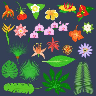 Tropikal yaprak simge vektör çizim.