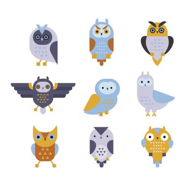 Baykuş yabani kuş çizgi film vektör.