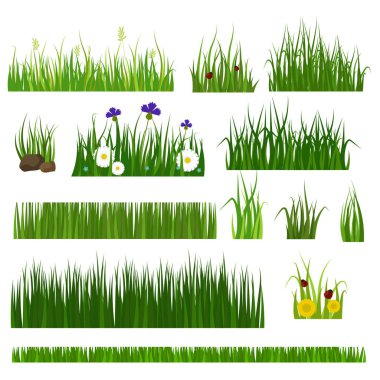 çim vektör çizim.