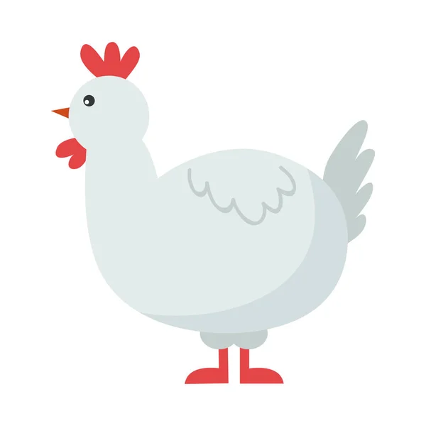 Pássaro de desenho animado de frango bonito . — Vetor de Stock