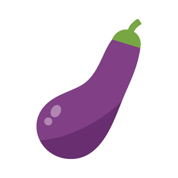 Illustration vectorielle isolée d'aubergines ou de légumes d'aubergine . — Image vectorielle