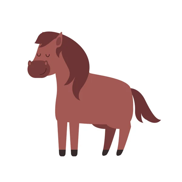 Koně plemene vektor. — Stockový vektor