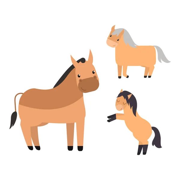 Different horses breed vector set. — Stock Vector