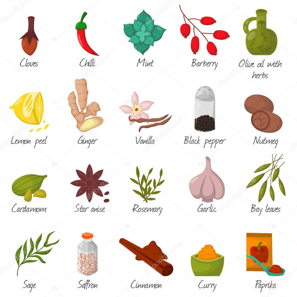 Spices, condiments and seasoning food herbs decorative elements vector.
