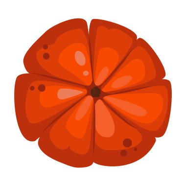 Taze turuncu kabak sebze izole vektör çizim.