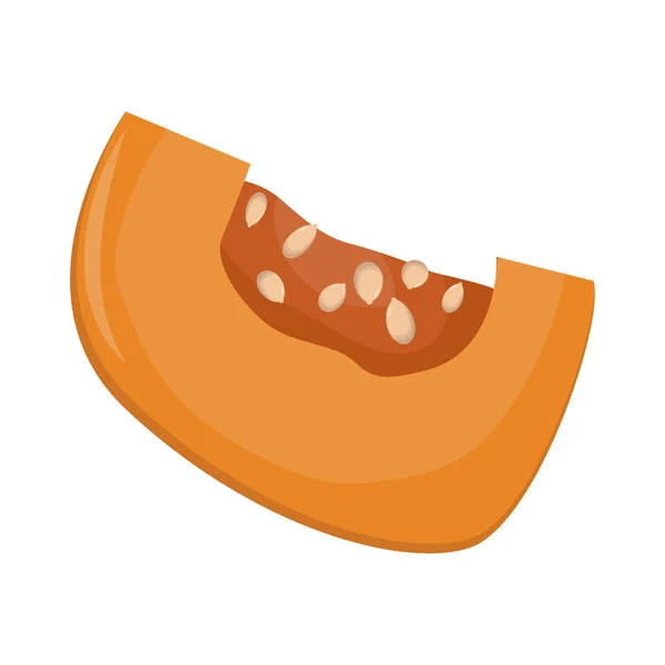 Illustration vectorielle isolée de légumes de citrouille orange frais . — Image vectorielle