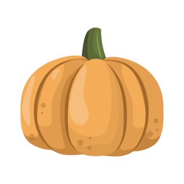 Taze turuncu kabak sebze izole vektör çizim.