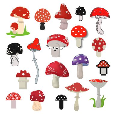 Amanita mantar vektör çizgi film farklı bir stil.