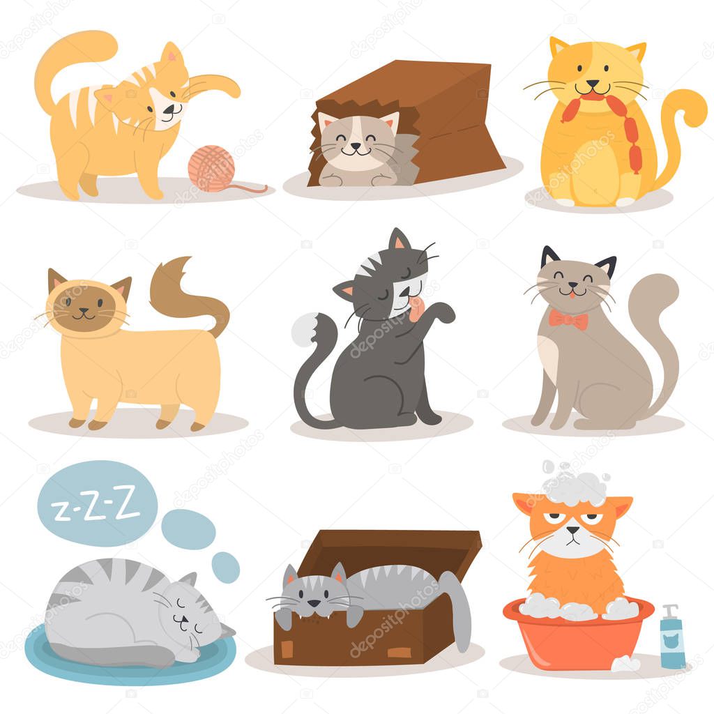 Cute cats character different pose vector set.