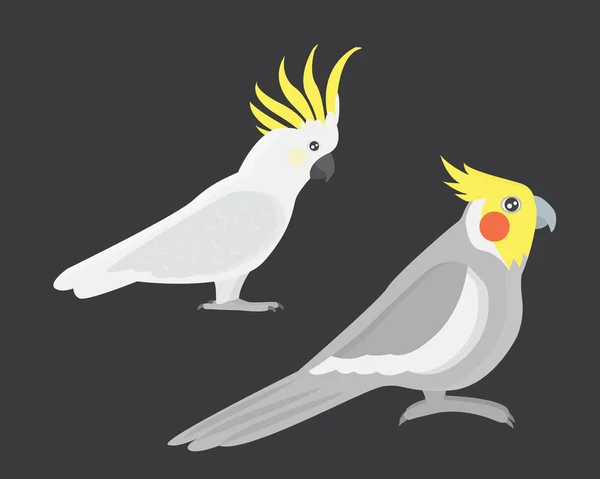 Cartoon tropical cockatoo burung beo liar vektor burung ilustrasi . - Stok Vektor