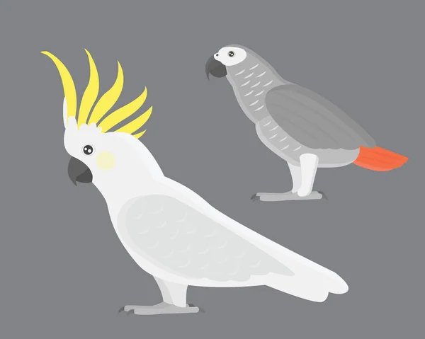 Cartoon tropical cockatoo burung beo liar vektor burung ilustrasi . - Stok Vektor