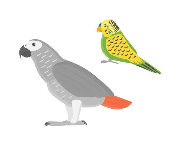 Dibujos animados loro tropical animal salvaje vector de aves ilustración . — Vector de stock