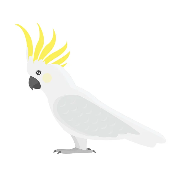 Cartoon tropical cockatoo parrot wild animal bird vector illustration. — Stock Vector