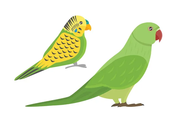 Illustration vectorielle d'oiseaux sauvages perroquet tropical dessin animé . — Image vectorielle