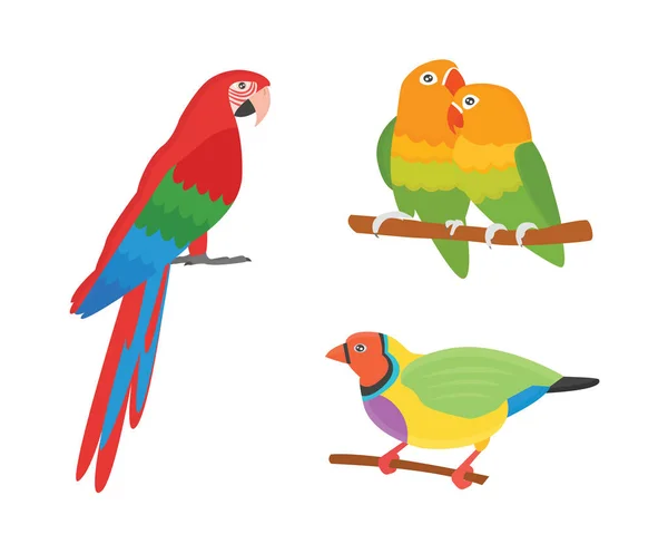 Cartoon tropical parrot wild animal bird vector illustration.