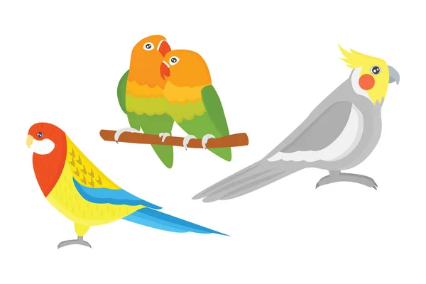 Dibujos animados loro tropical animal salvaje vector de aves ilustración . — Archivo Imágenes Vectoriales