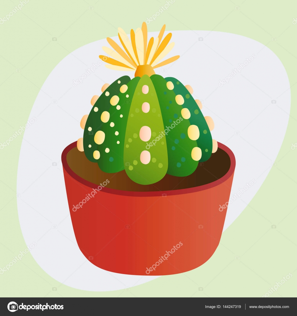 Flor de cacto de planta de desenho animado mexicano três cactos
