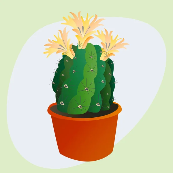 Kaktusz lapos stílusú természet sivatagi virág Zöld rajzfilm rajz grafikus mexikói zamatos és trópusi növény kerti kaktusz virág vektoros illusztráció. — Stock Vector