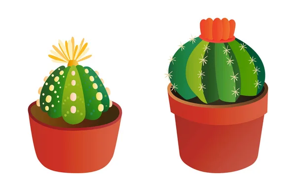 Cactus estilo plano naturaleza desierto flor verde dibujo de dibujos animados gráfica mexicana suculenta y tropical planta jardín arte cactus vector floral ilustración . — Vector de stock