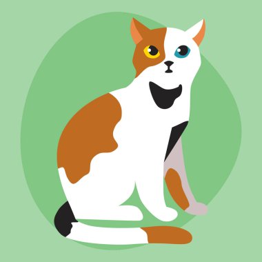 Kedi doğurmak şirin evde beslenen hayvan portre kabarık beyaz siyah kırmızı çok güzel Karikatür hayvan ve oldukça eğlenceli oyun kedi memeli yerli kitty vektör çizim.