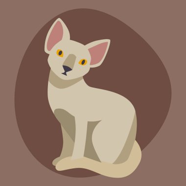 Ve oldukça eğlenceli bir oyun kedi memeli yerli kitty vektör çizim oturma doğurmak Sfenks şirin evde beslenen hayvan portre kabarık genç çok güzel Karikatür hayvan kedi.