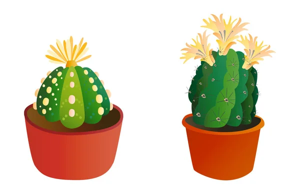 Cactus estilo plano natureza deserto flor verde desenho animado gráfico mexicano suculento e tropical planta jardim arte cactos floral vetor ilustração . — Vetor de Stock