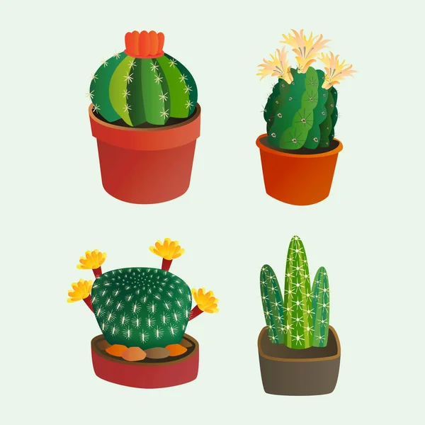 Ilustração Realista Do Vetor De Uma Planta Doméstica. Cactus Florescente  Suculento Num Vaso Ilustração do Vetor - Ilustração de desenho, cacto:  214390555