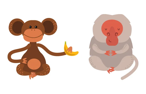 Diferentes tipos de monos raro animal vector conjunto . — Vector de stock