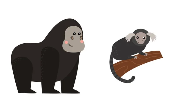 Різні типи мавп рідкісний векторний набір тварин . — стоковий вектор