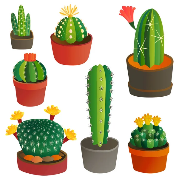 Cactus vlakke stijl natuur desert bloem groen cartoon tekenen grafische Mexicaanse sappig en tropische planten tuin kunst cactussen floral vectorillustratie. — Stockvector