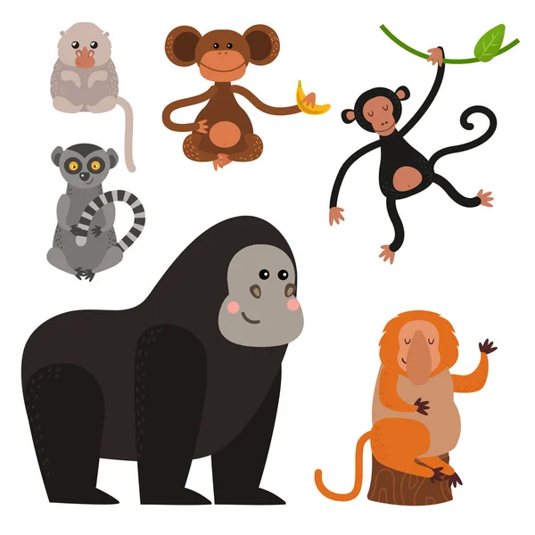 Diferentes tipos de macacos conjunto vetor animal raro . —  Vetores de Stock