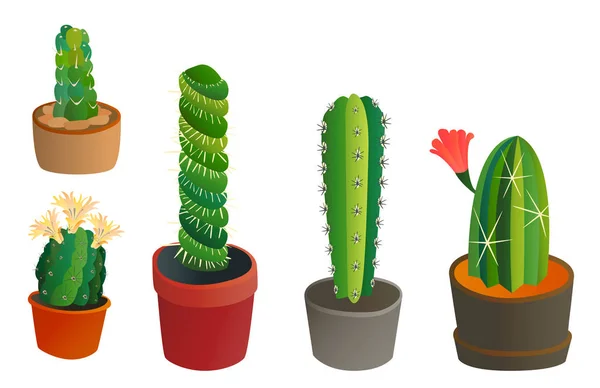 Ilustração Realista Do Vetor De Uma Planta Doméstica. Cactus Florescente  Suculento Num Vaso Ilustração do Vetor - Ilustração de desenho, cacto:  214390555