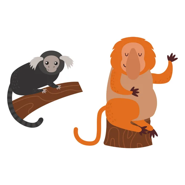 Diferentes tipos de monos raro animal vector conjunto . — Vector de stock