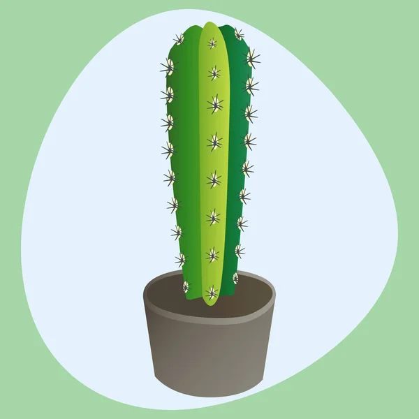 Cactus estilo plano naturaleza desierto flor verde dibujo de dibujos animados gráfica mexicana suculenta y tropical planta jardín arte cactus vector floral ilustración . — Archivo Imágenes Vectoriales