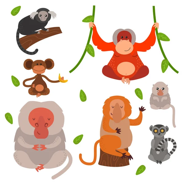 Különböző típusú majmok ritka állat vektor beállítása. — Stock Vector