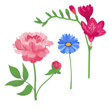 Çizgi film petal vintage çiçek vektör buket Bahçe çiçek botanik doğal peonies çizim ve yaz çiçek tebrik kartı bahar çiçeği.