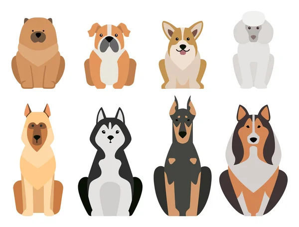 Engraçado desenho animado cão personagem pão ilustração em desenho animado estilo cachorro feliz e isolado amigável mamífero adorável mascote canino vetor ilustração . —  Vetores de Stock