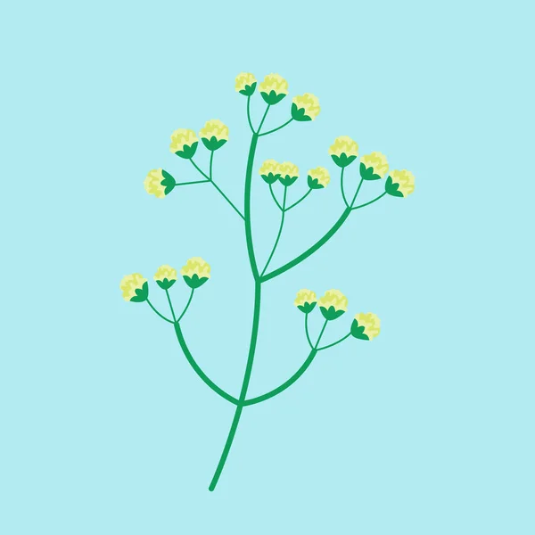 Blomma sommaren naturliga växt vektorillustration. — Stock vektor