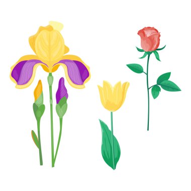 Çizgi film petal vintage çiçek vektör buket Bahçe çiçek botanik doğal peonies çizim ve yaz çiçek tebrik kartı bahar çiçeği.