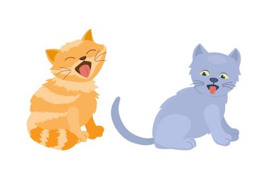 Kedi doğurmak şirin yavru kedi portre kabarık genç çok güzel Karikatür hayvan evde beslenen hayvan ve oldukça eğlenceli bir oyun kedi memeli yerli kitty vektör çizim oturma.