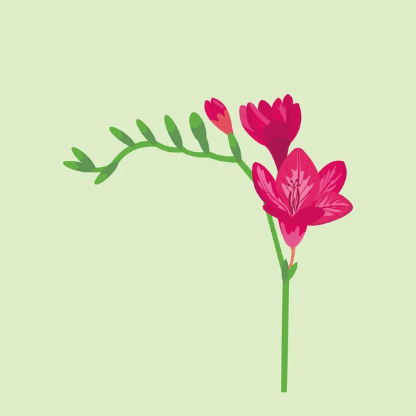 Bloem zomer natuurlijke plantaardige vectorillustratie. — Stockvector