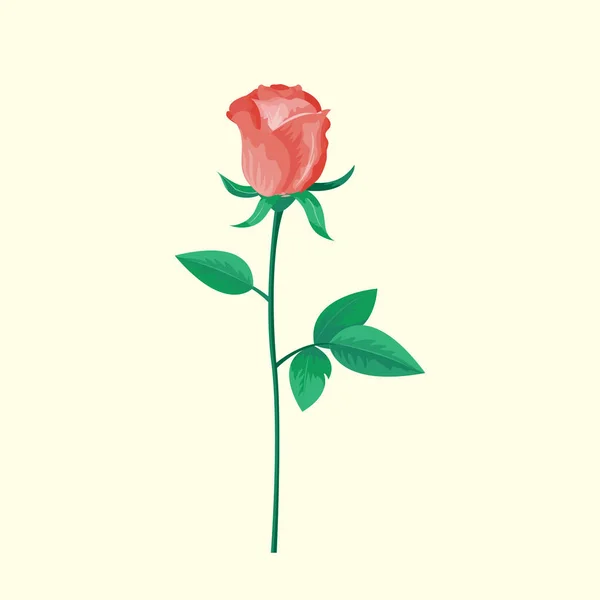 Vintage rózsaszín rózsa virág lehet használni, mint üdvözlőkártya, meghívó, esküvői, születésnapi és más holiday nyári természetes növényi vektoros illusztráció. — Stock Vector