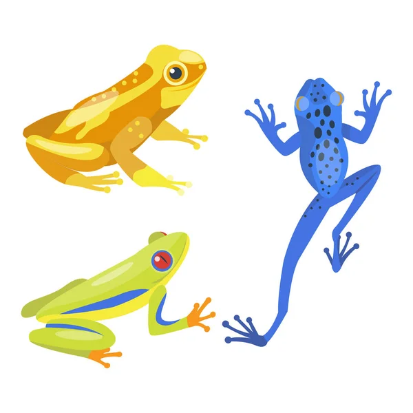 Grenouille dessin animé animal tropical dessin animé nature icône drôle et isolé personnage mascotte sauvage drôle forêt crapaud amphibien vecteur illustration . — Image vectorielle