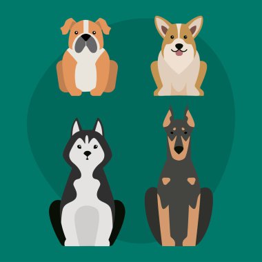 Komik karikatür köpek karakteri ekmek illüstrasyon karikatür tarzı mutlu köpek yavrusu ve izole dostu memeli sevimli maskot köpek vektör çizim.