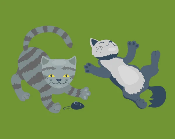 Kot rasy słodkie kitten portret puszysty kreskówka młody zwierzęta i całkiem zabawne gry kot siedzący ssak kotek domowych wektor ilustracja. — Wektor stockowy