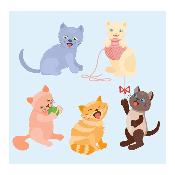 Cat breed cute kucing potret hewan peliharaan berbulu muda menggemaskan hewan kartun dan kucing bermain cukup menyenangkan duduk mamalia kucing domestik vektor ilustrasi . - Stok Vektor