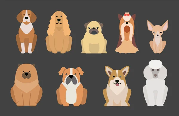 Grappige cartoon hond teken brood illustratie in cartoon stijl gelukkig puppy en geïsoleerde vriendelijke zoogdier schattige mascotte canine vectorillustratie. — Stockvector