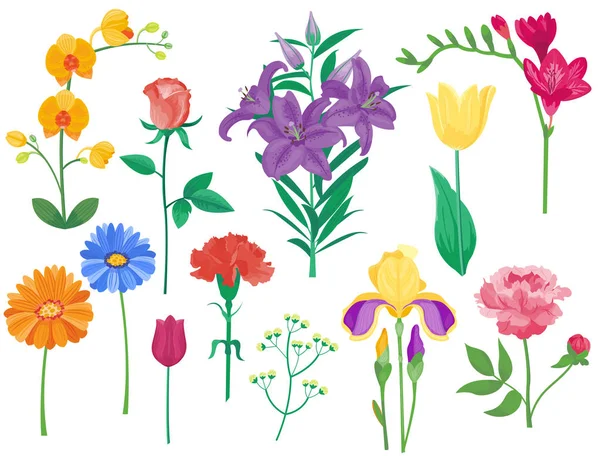 Мультяшна пелюстка вінтажний квітковий векторний букет садовий ботанічний натуральні півонії ілюстрація та літня квіткова вітальна листівка весняний цвіт . — стоковий вектор