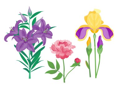 Çizgi film petal vintage çiçek vektör buket Bahçe çiçek botanik doğal peonies çizim ve yaz çiçek tebrik kartı bahar çiçeği.